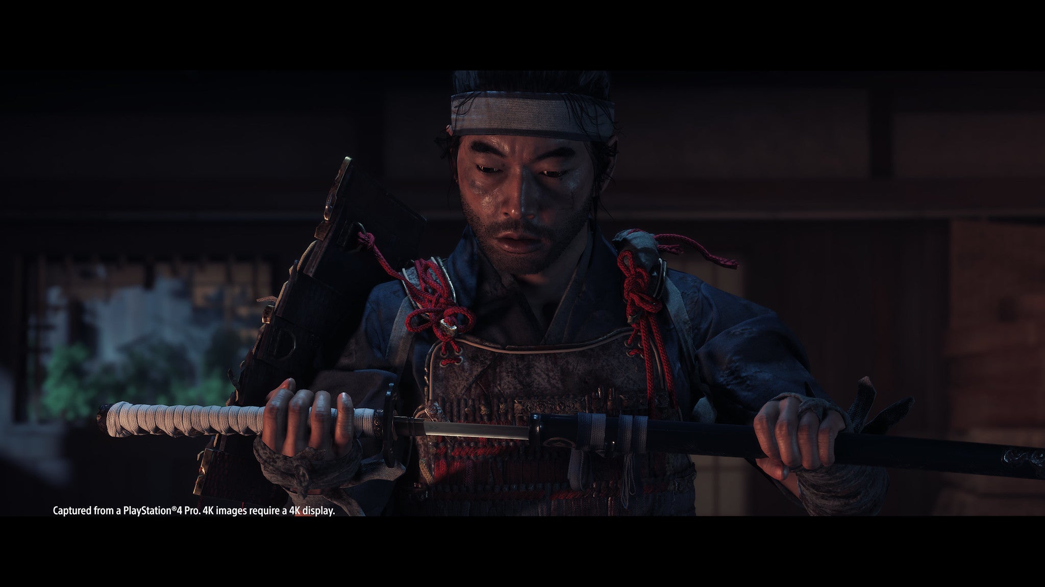 Image for Ghost of Tsushima won't lock you into ghost or samurai modes