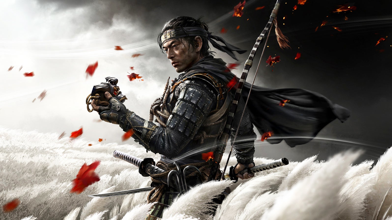 Image for NPD July 2020: Switch and Ghost of Tsushima are the month's best-sellers