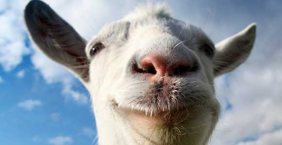 Image for Goat Simulator moved to free update model because "it's nice"