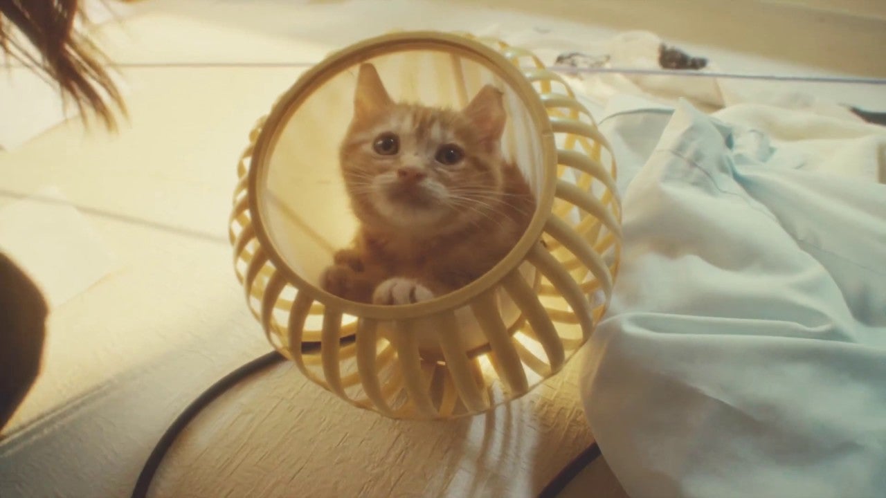 Image for Cats are more trouble than they're worth in this Gravity Rush 2 live action trailer