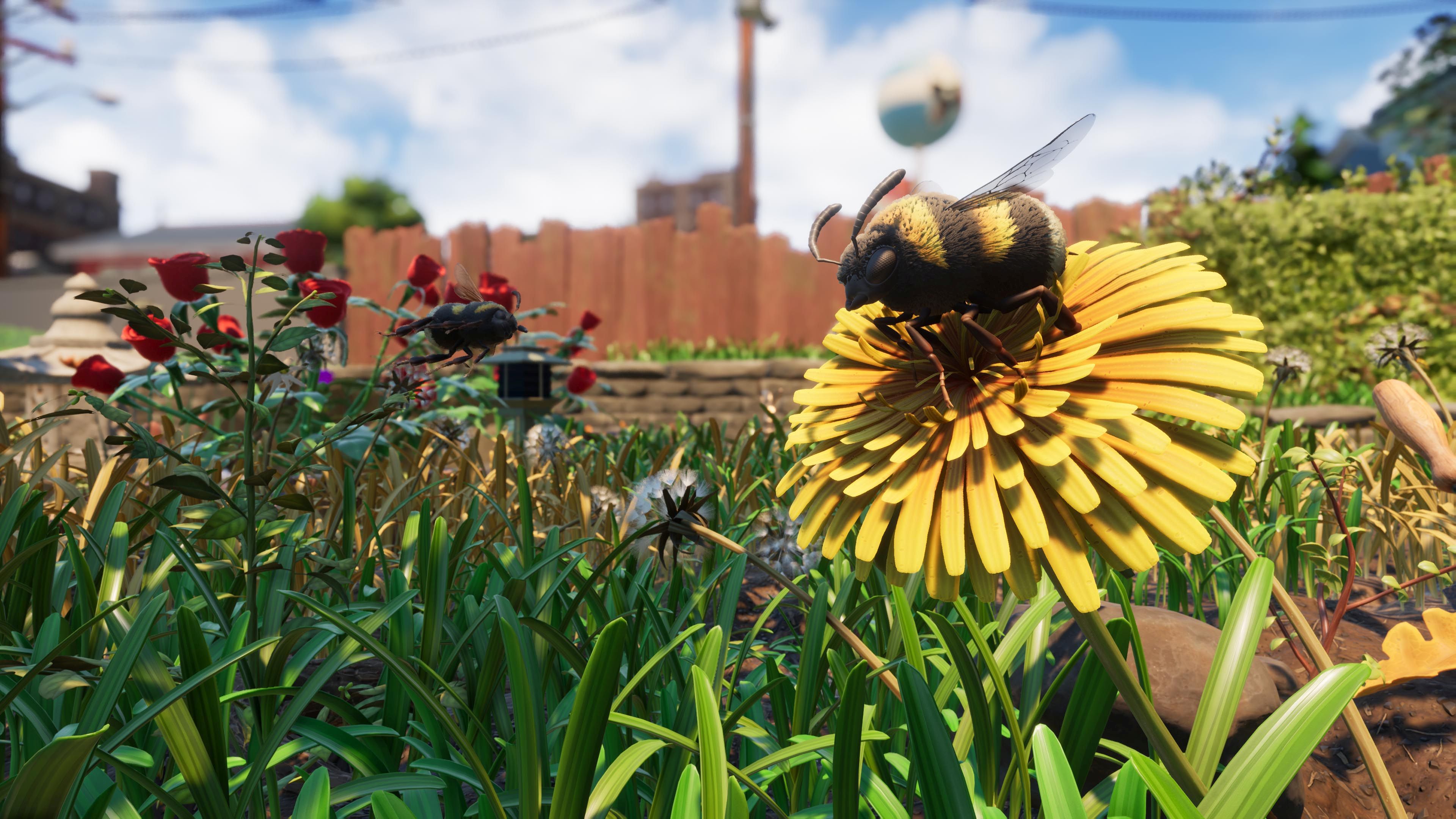Grounded gets a release date along with a final major update - Vimarsana News