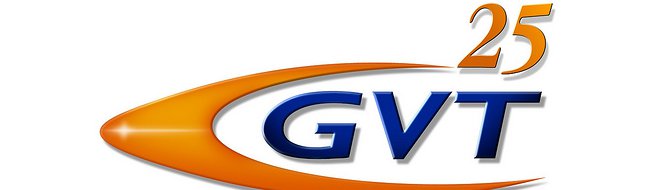 Image for Report - Vivendi considering Brazilian GVT sale instead of Activision