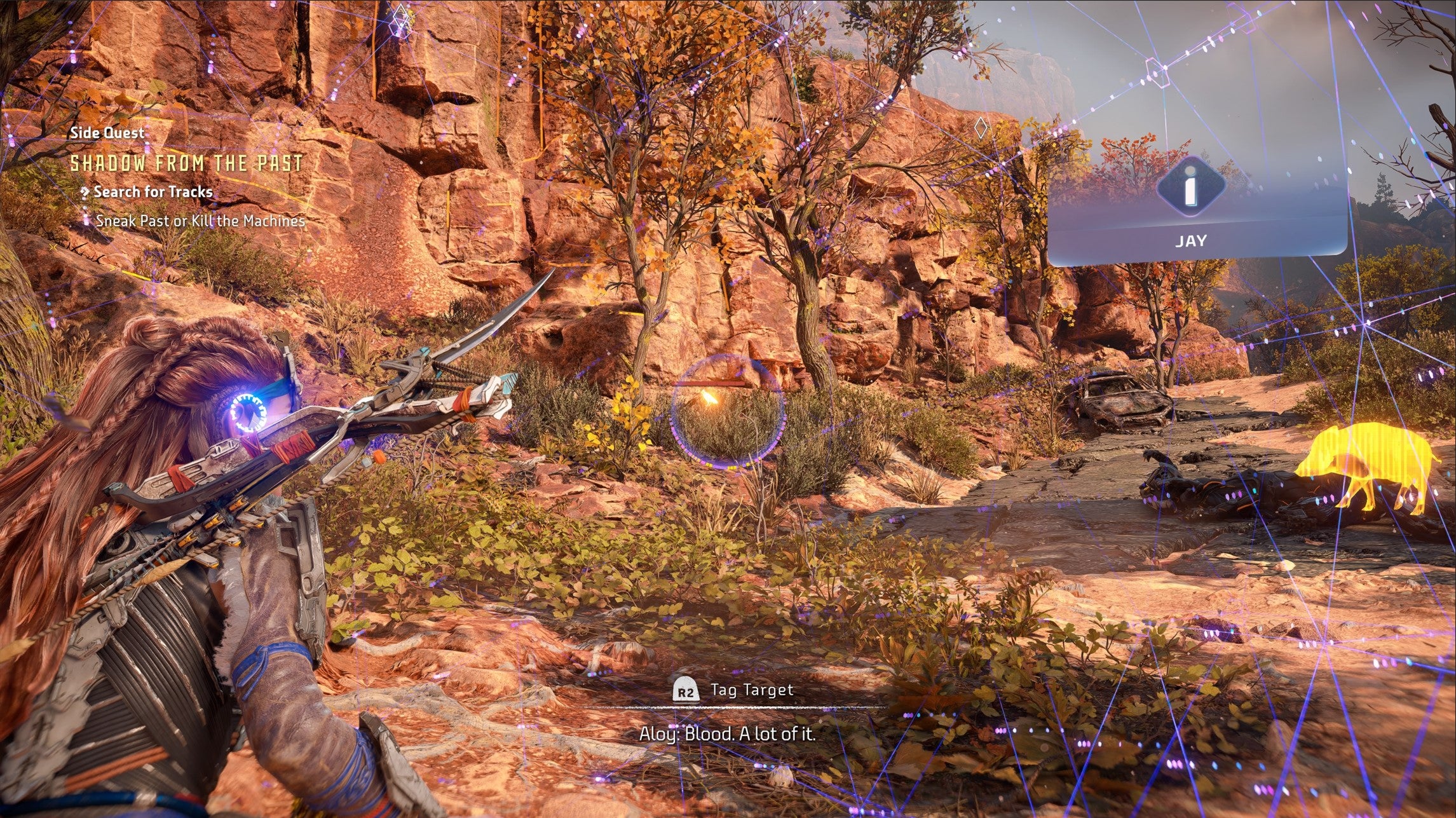 Horizon Forbidden West Inventory Pouch Upgrades  Where do I find Peccary  Jays  and other animals  - 16
