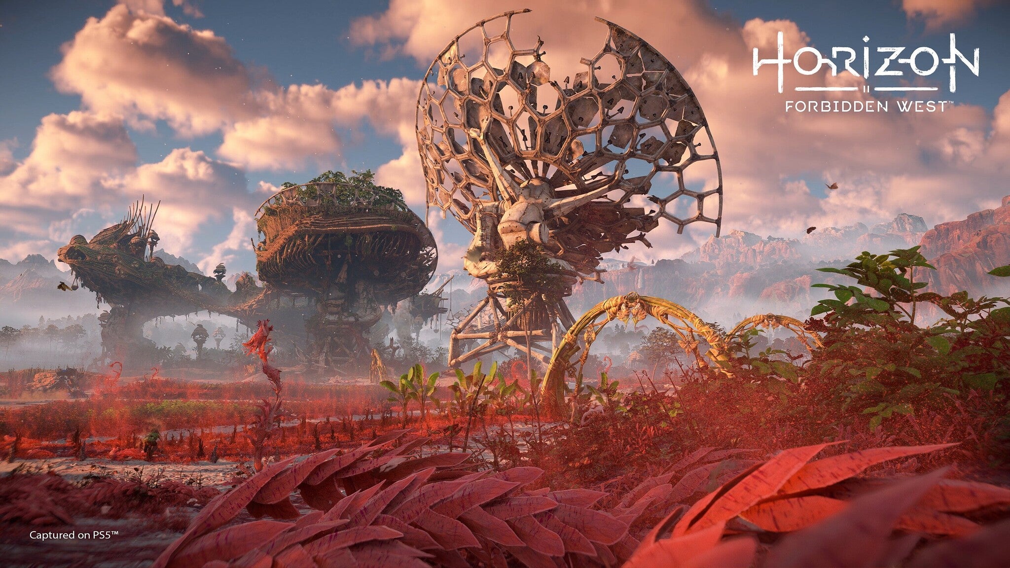 Horizon Forbidden West patch adds toggle option for loot actions - Vimarsana News