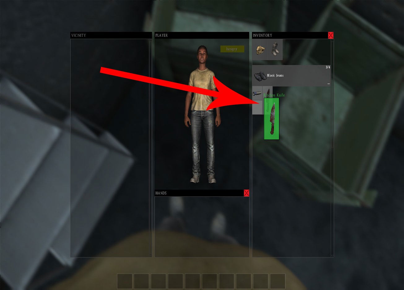 Image for DayZ guide - the inventory