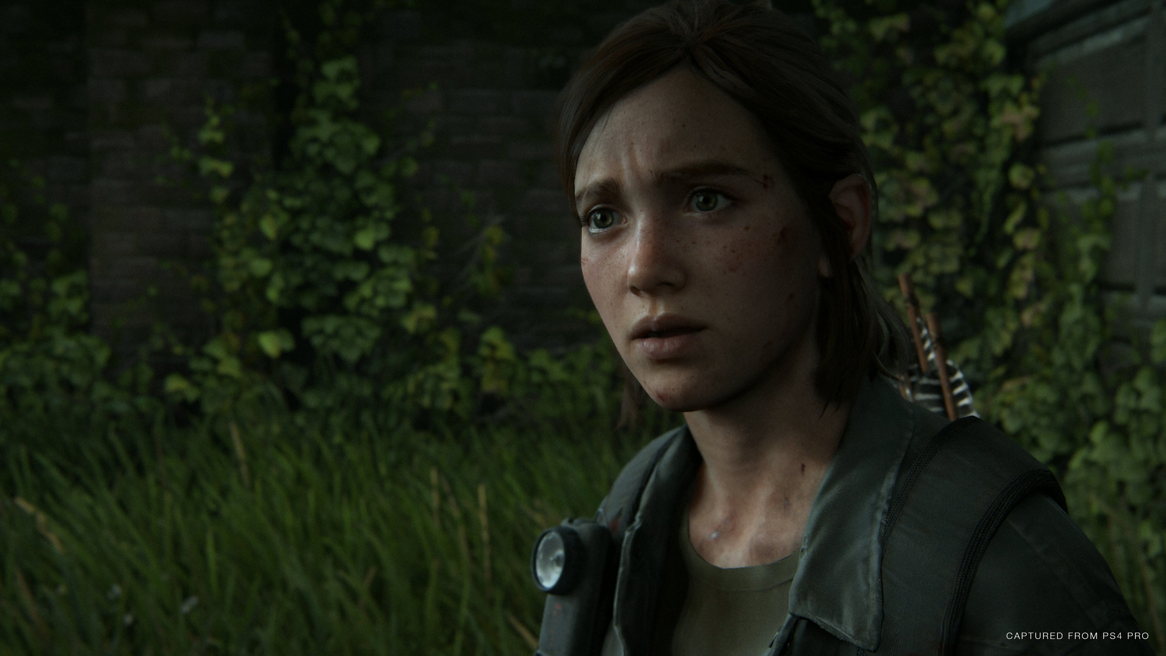 Image for The Last of Us: Part 2 job listing is asking for PC, DX12 and Nvidia experience