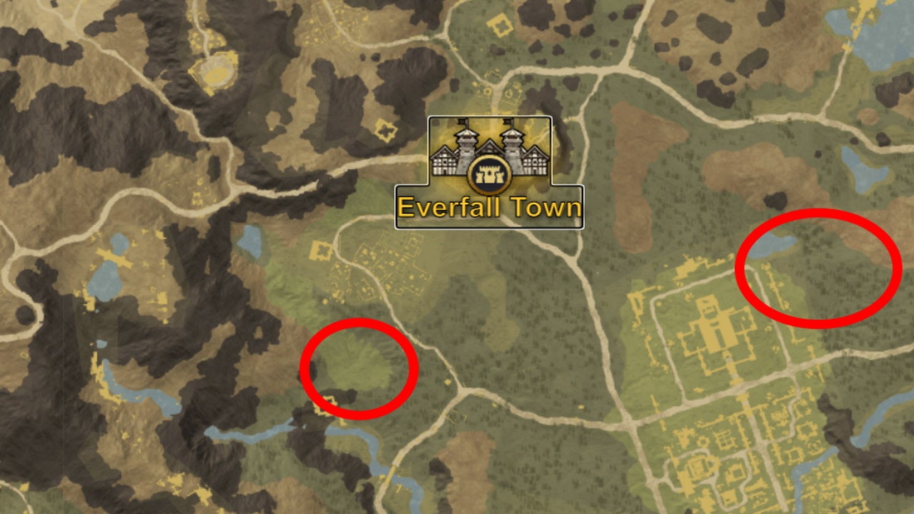New World Turkulon guide   Giant turkey locations and how to get Monstrous Turkey Leg - 73