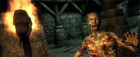 Image for Next Elder Scrolls game set 200 years after Oblivion