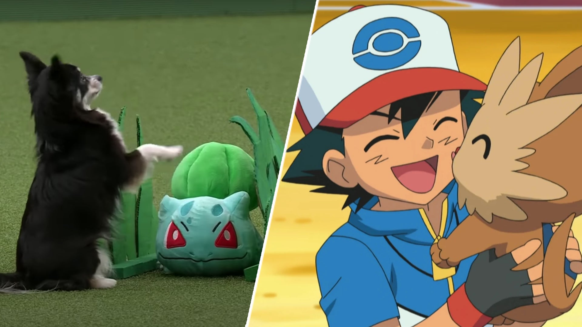 Image for Want to see a Pokemon routine at the Crufts dog show? Of course you do