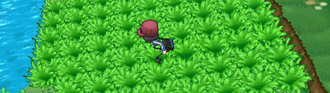 pokemon x and y anime grass