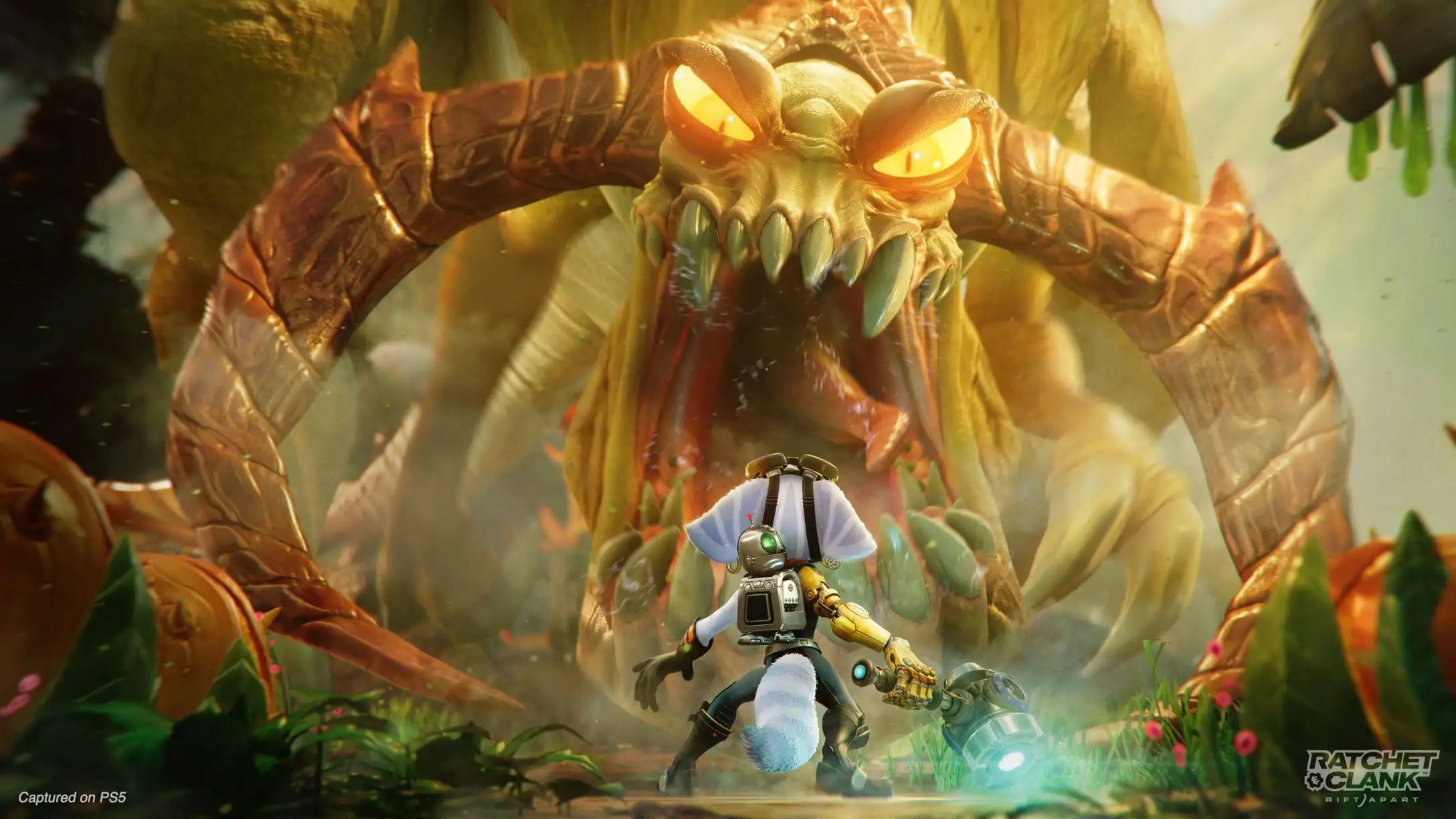 Ratchet & Clank Rift Apart, Switch, and Xbox Series X/S were tops in