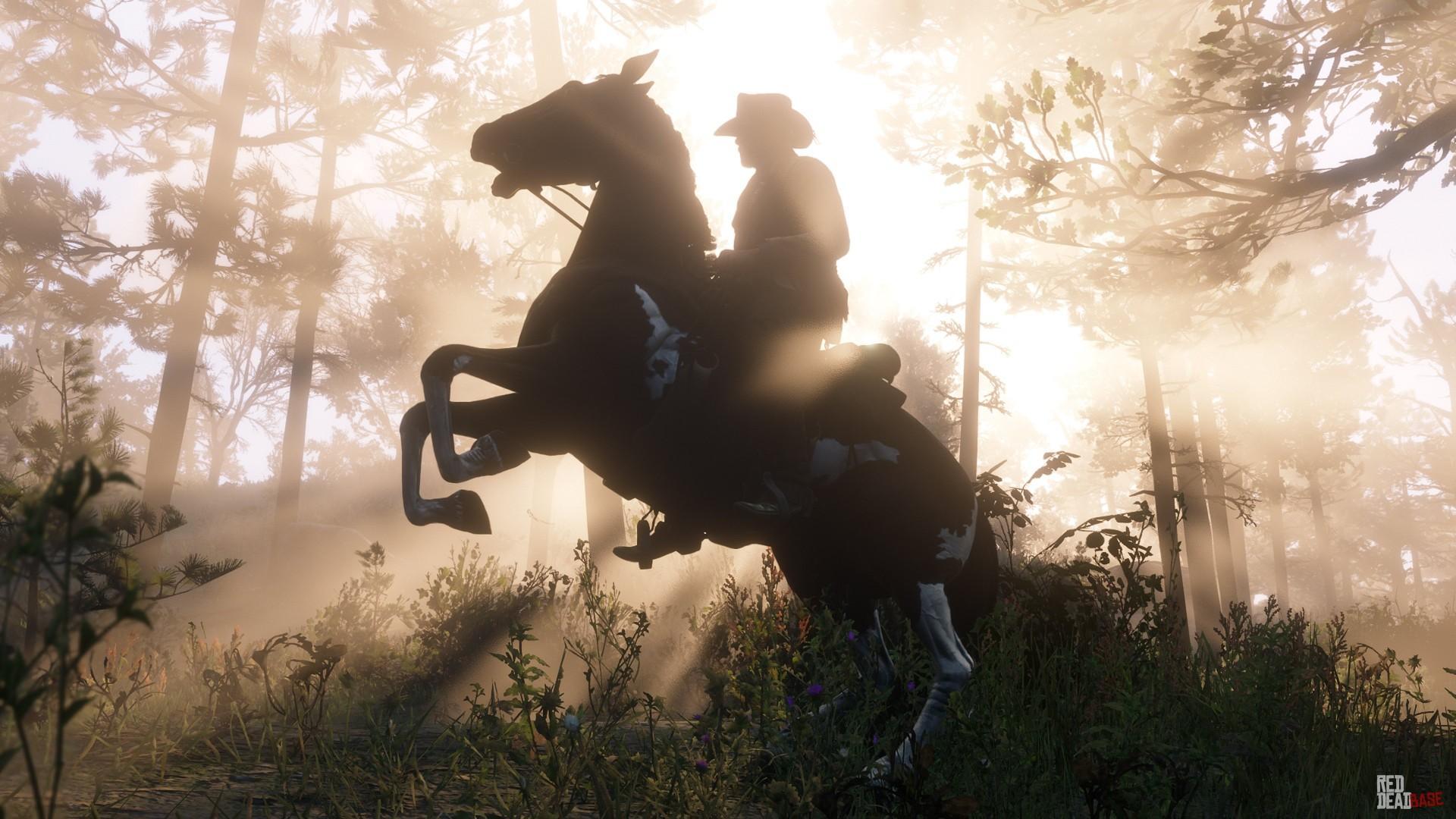 Red Dead Redemption 2 has sold over 50 million units lifetime