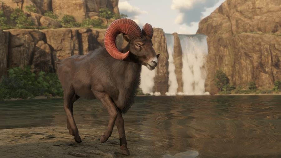 Red Dead Online gets its first new role in months  new legendary animals - 97