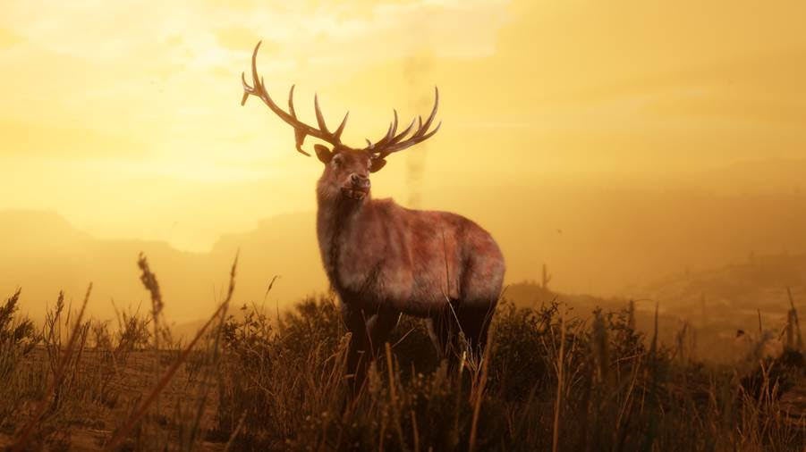 Red Dead Online gets its first new role in months  new legendary animals - 62