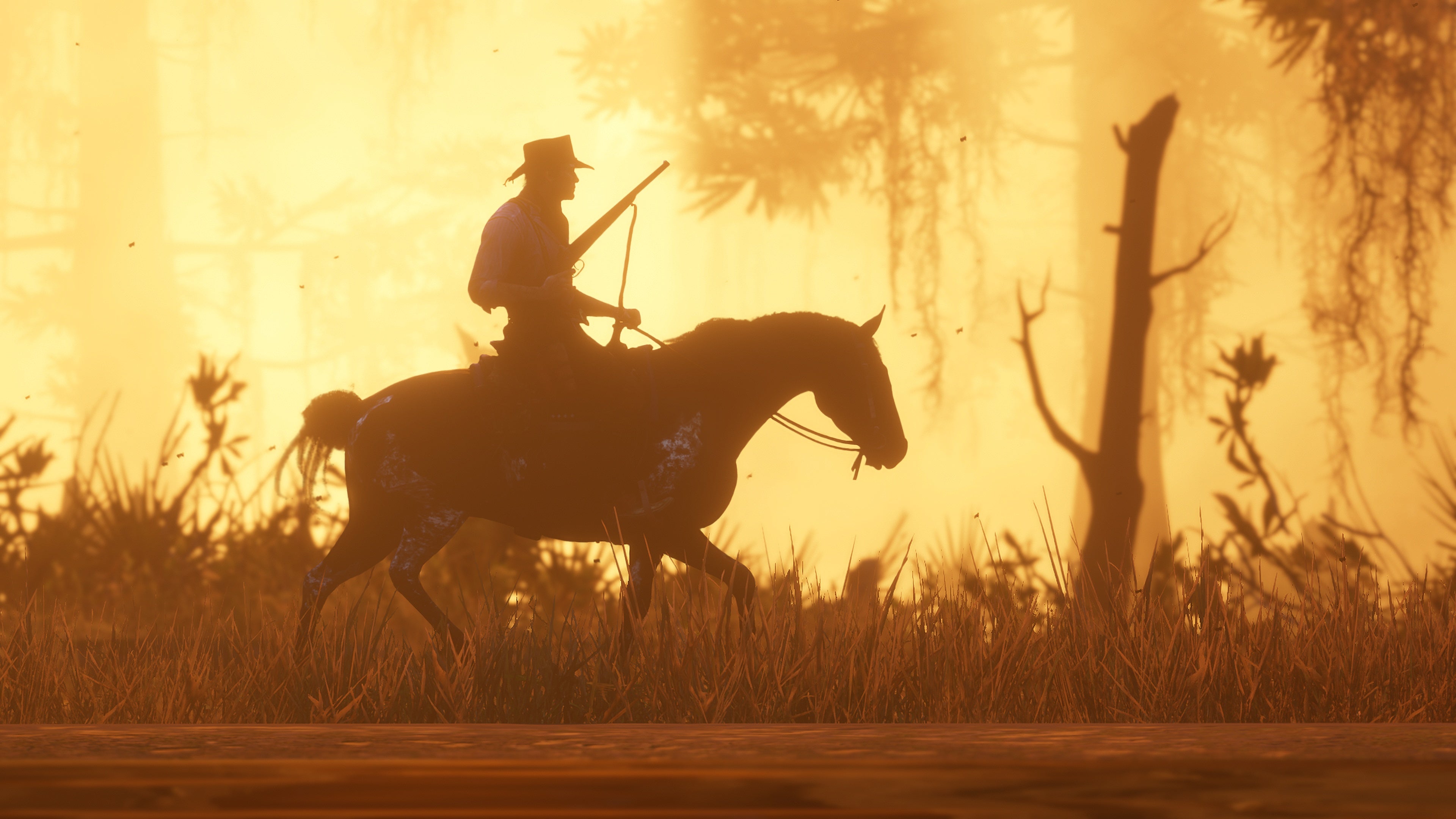 Image for Red Dead Redemption 2 update will address stuttering issues on PC