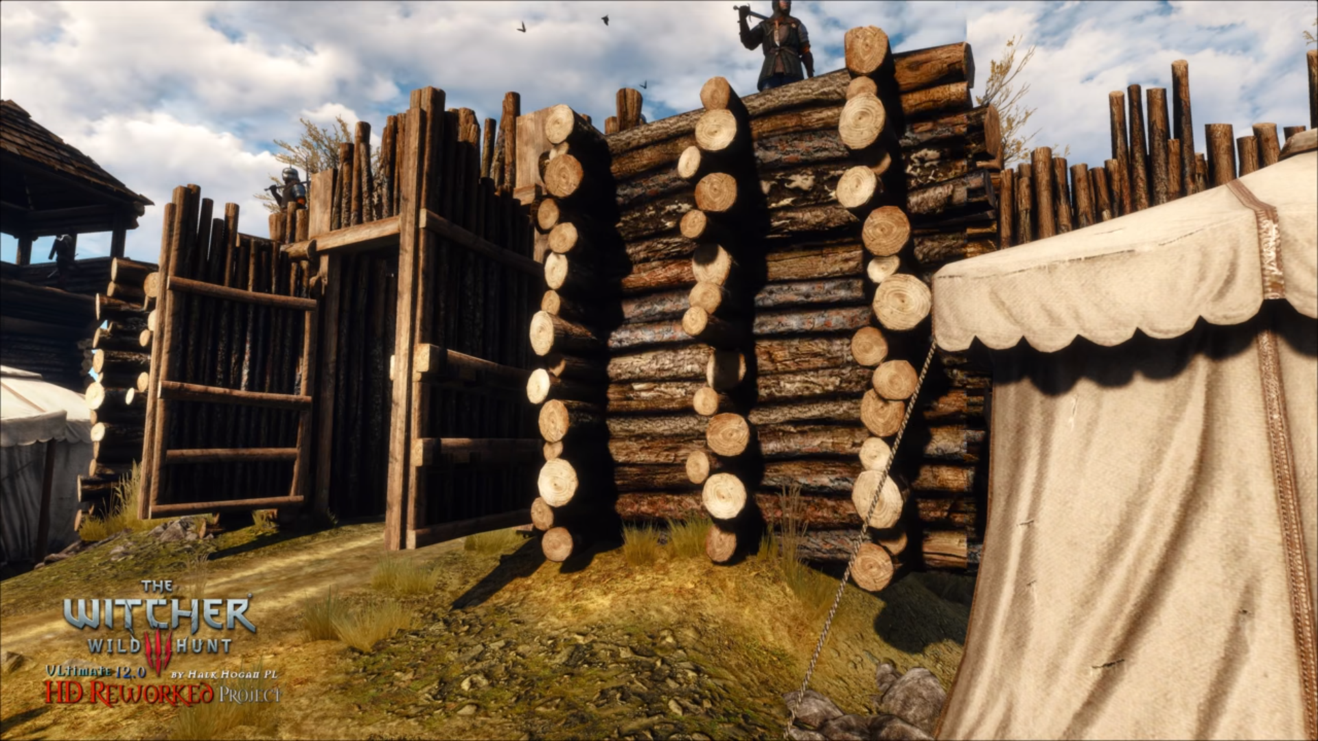 Image for You need to check out this amazing Witcher 3 mod