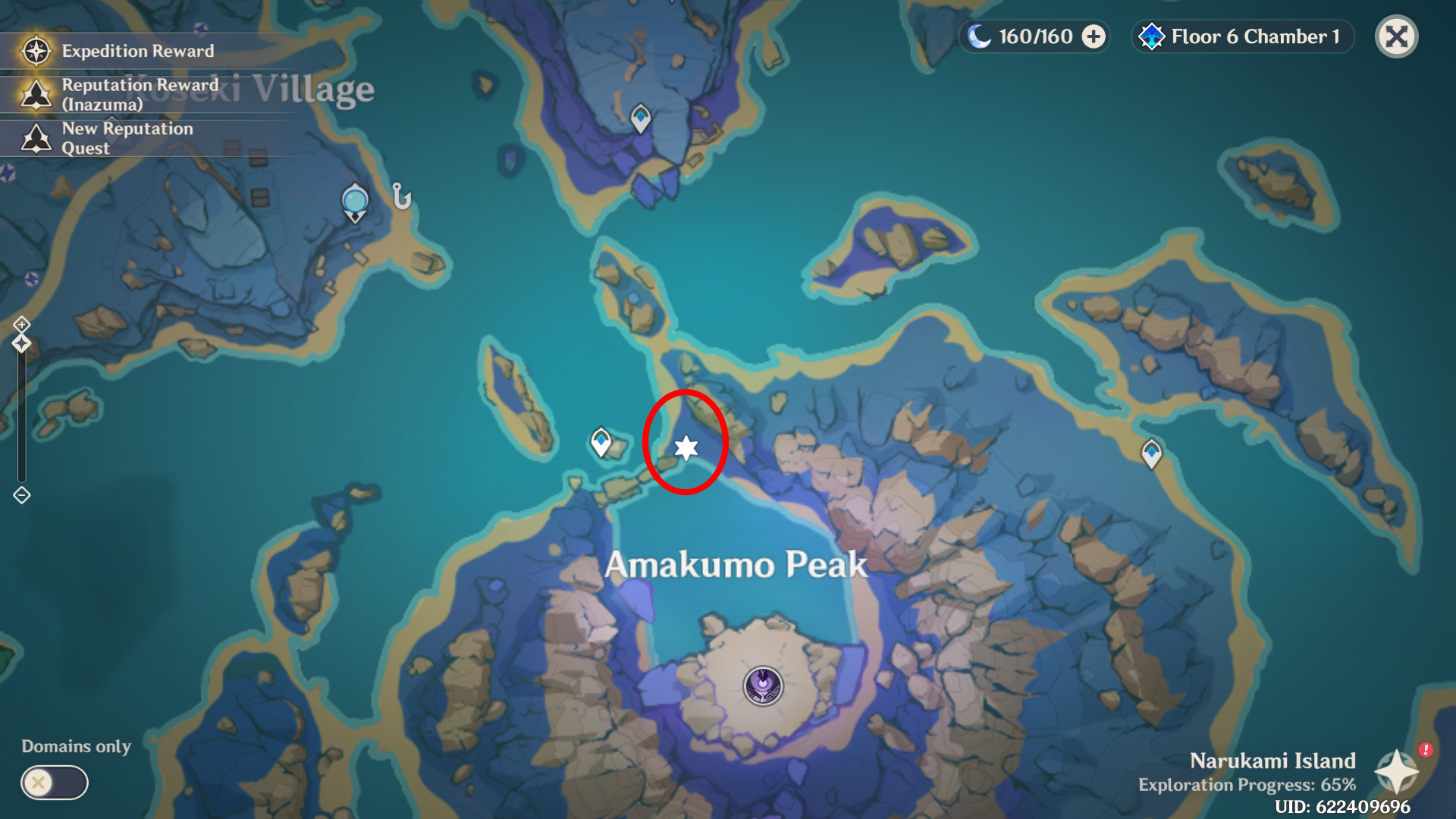 Genshin Impact Reminiscence of Seirai guide and all Reminiscence of Seirai locations - 96