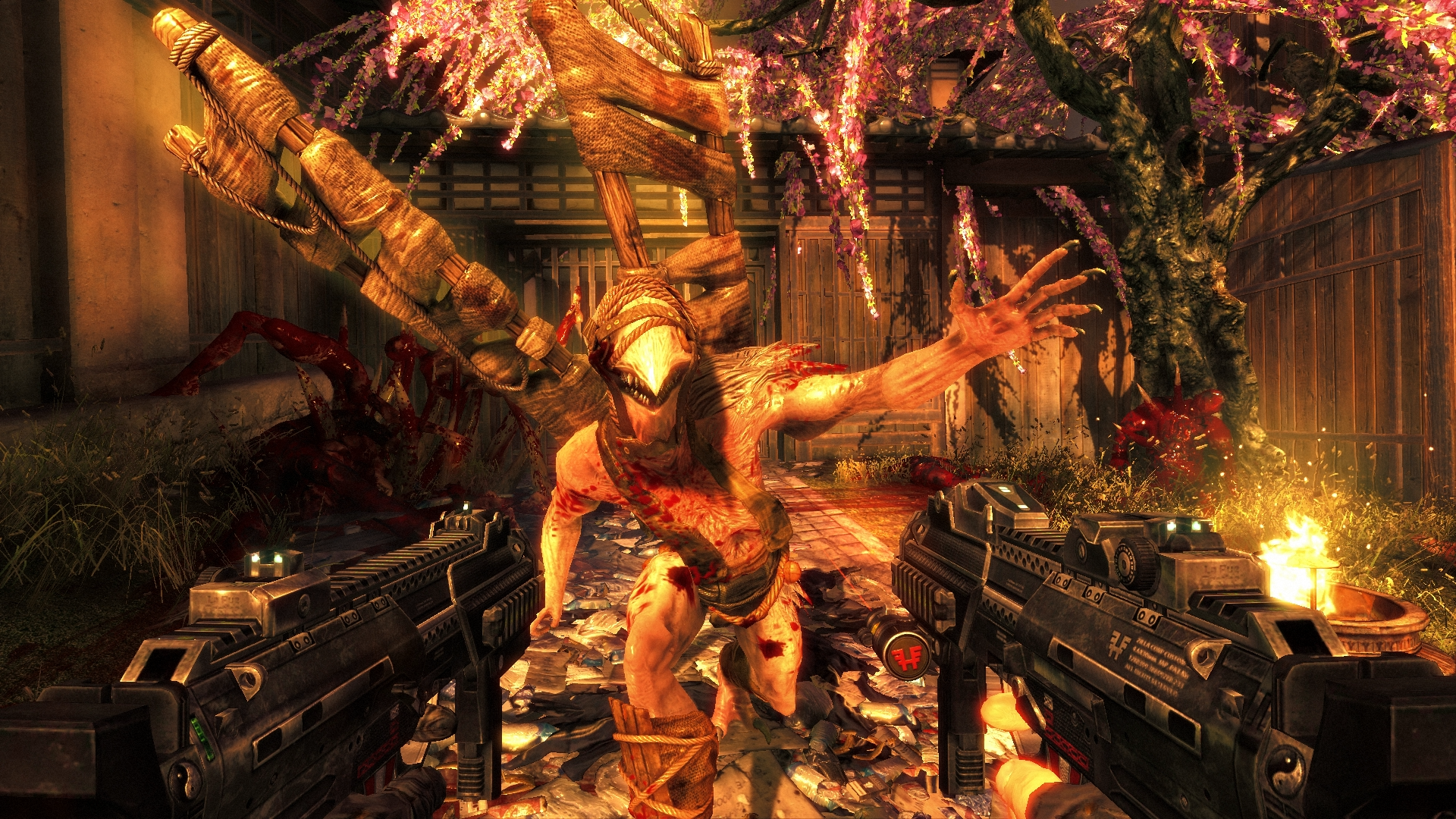 Image for Shadow Warrior delay means you'll have to wait an extra month for Wang