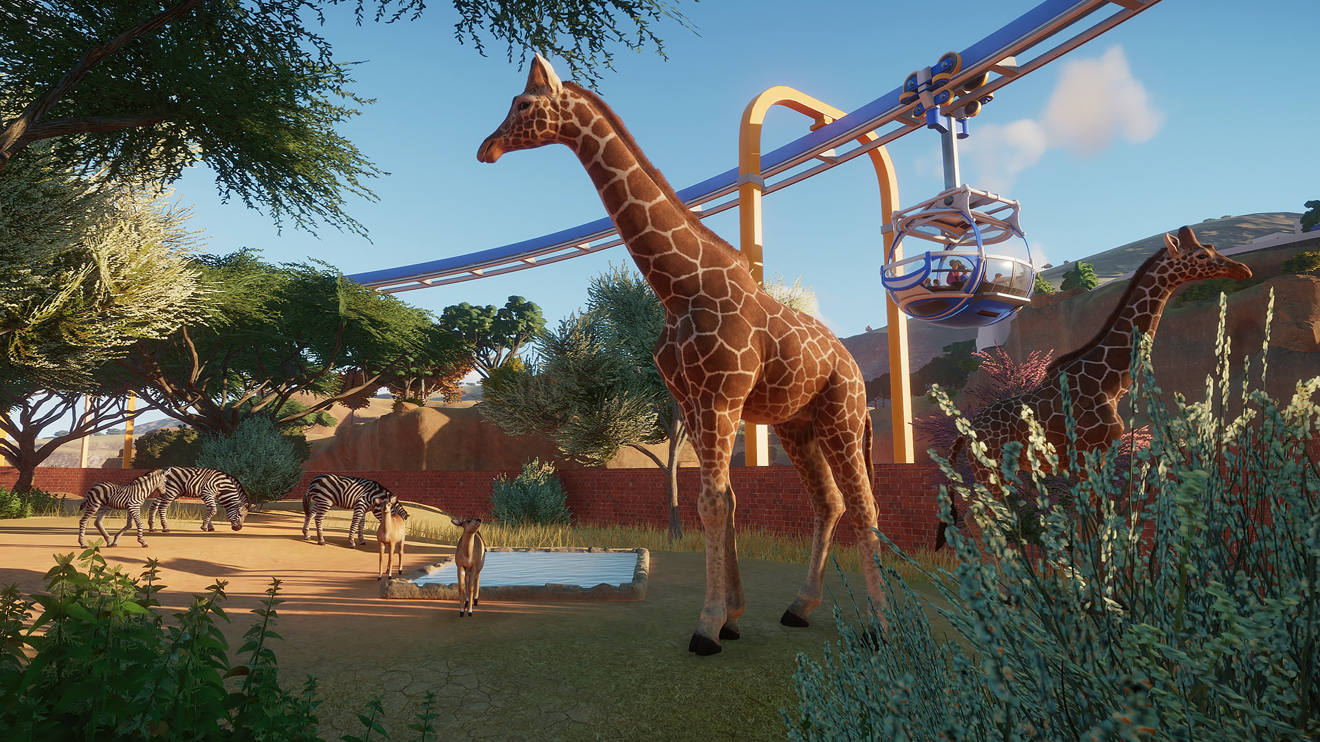 planet zoo franchise mode