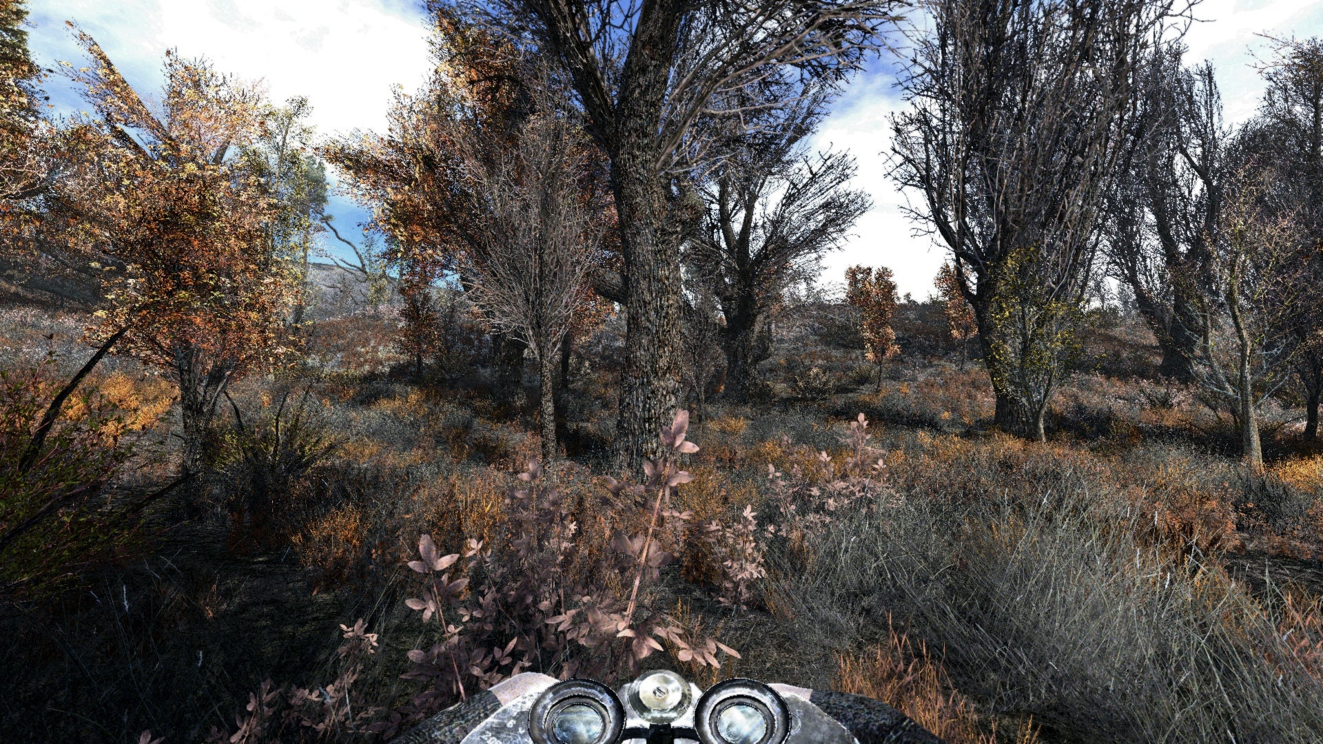 Players with binoculars look at trees in STALKER: Shadow of Chernobyl's fan overhaul mod.