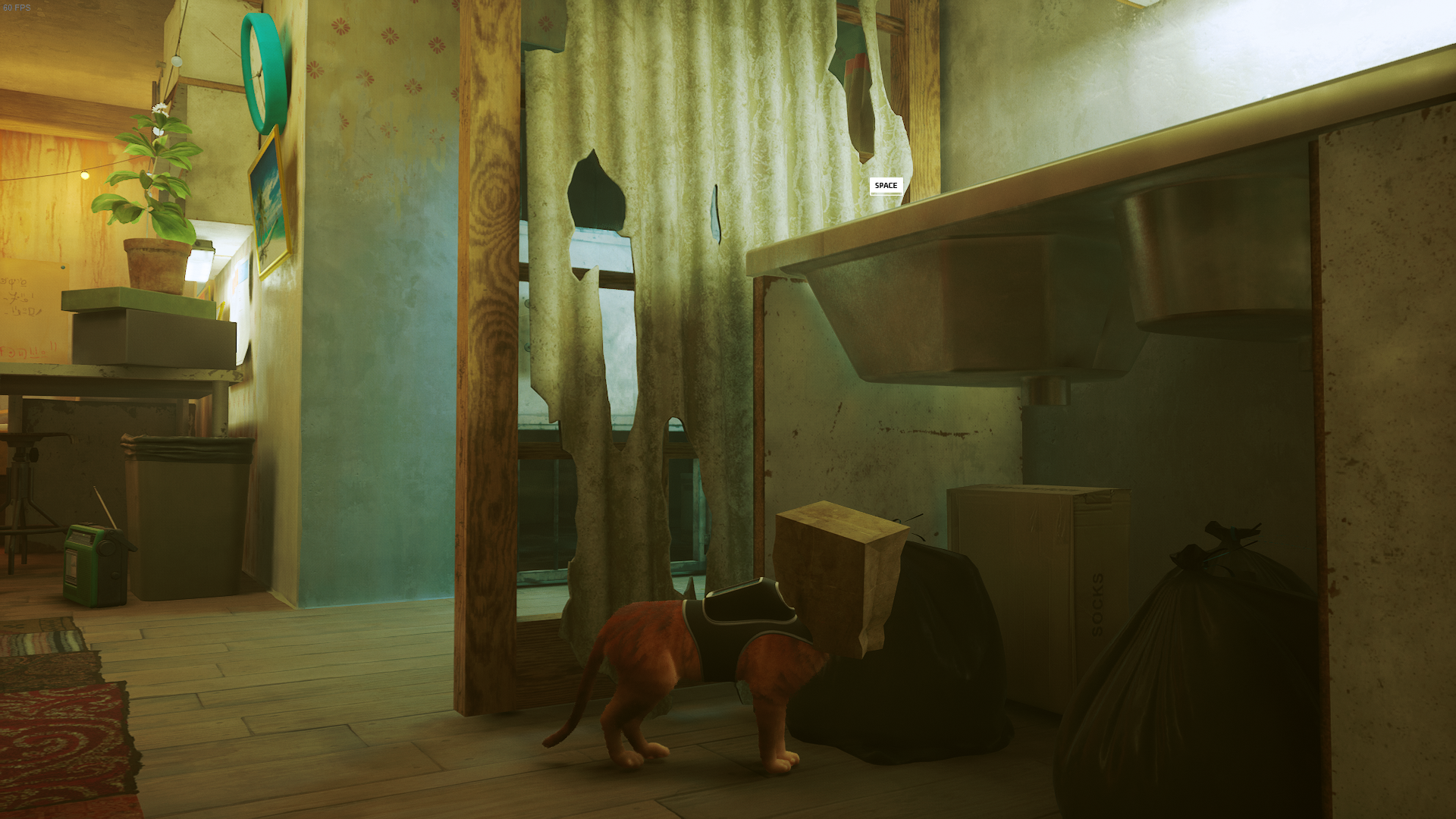 The Outsider, un gato, tiene una bolsa de papel en la cabeza después de encontrarla en el apartamento de Elliot en Stray.