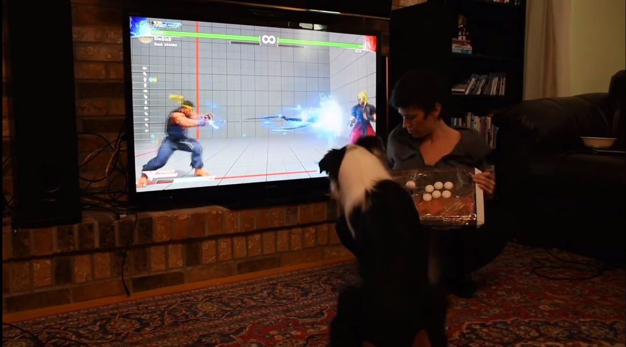Image for Excellent dog pulls off a Hadoken in Street Fighter 5