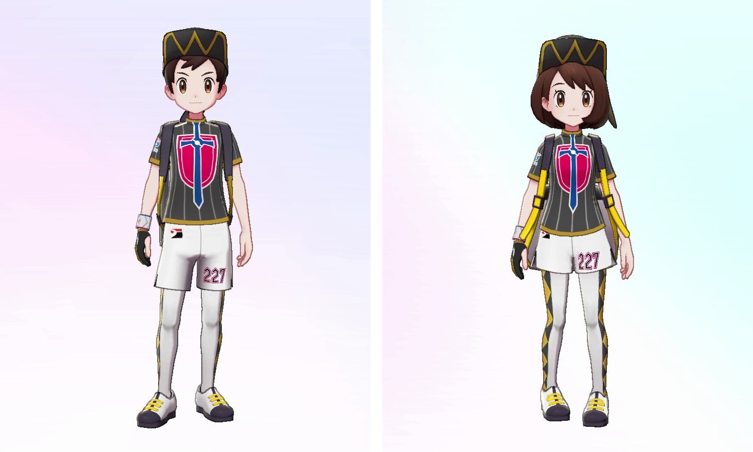 Pokemon Sword and Shield  The Isle of Armor Expansion   new details  releasing at the end of June - 96
