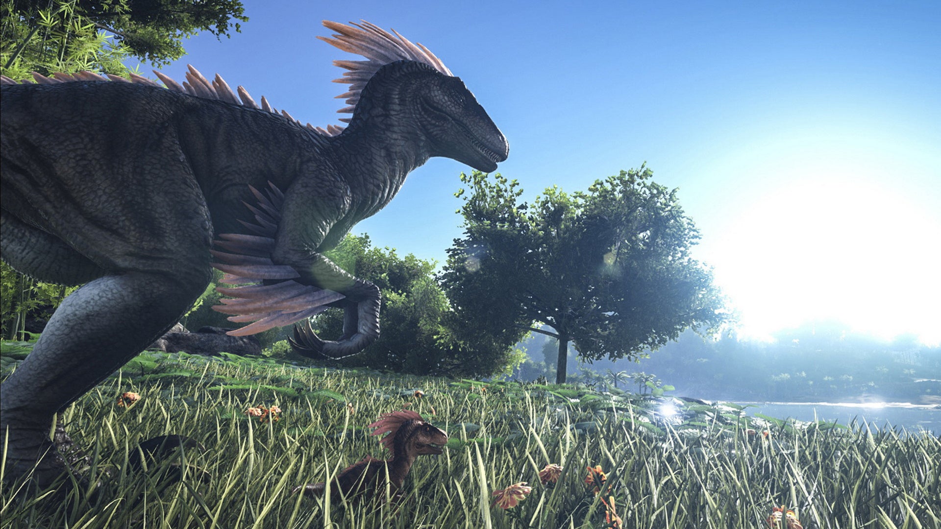 How do you tame a Fjordhawk in Ark  Survival Evolved  - 2