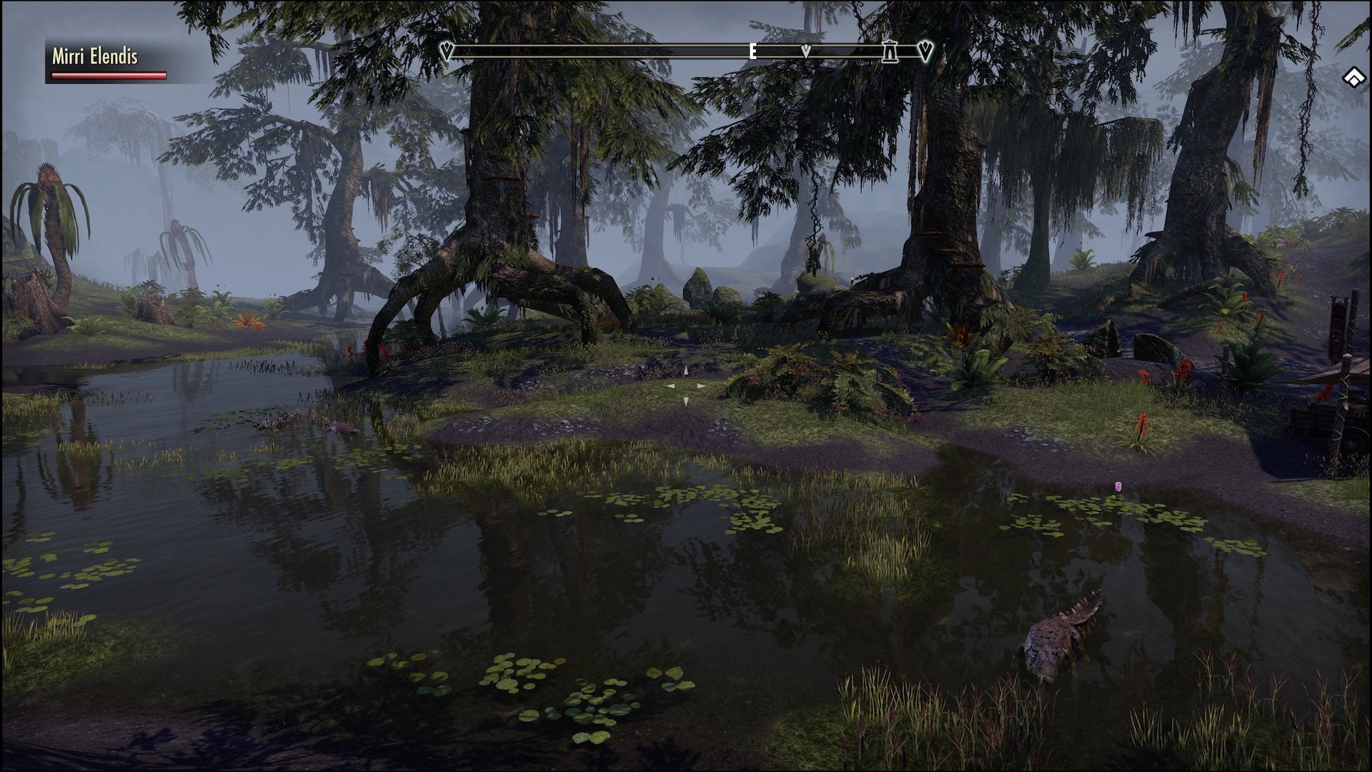 Playing The Elder Scrolls Online single player is like discovering a whole load of new Skyrim content - 8
