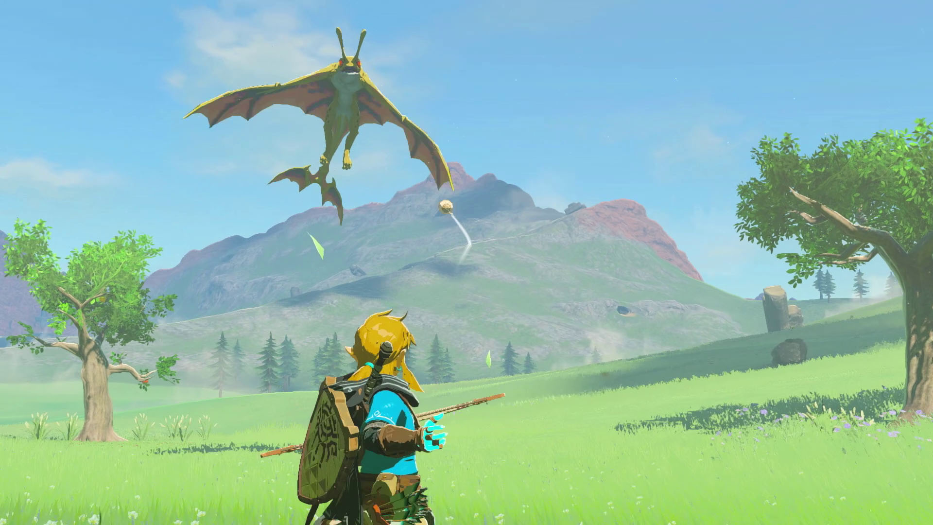 Zelda308