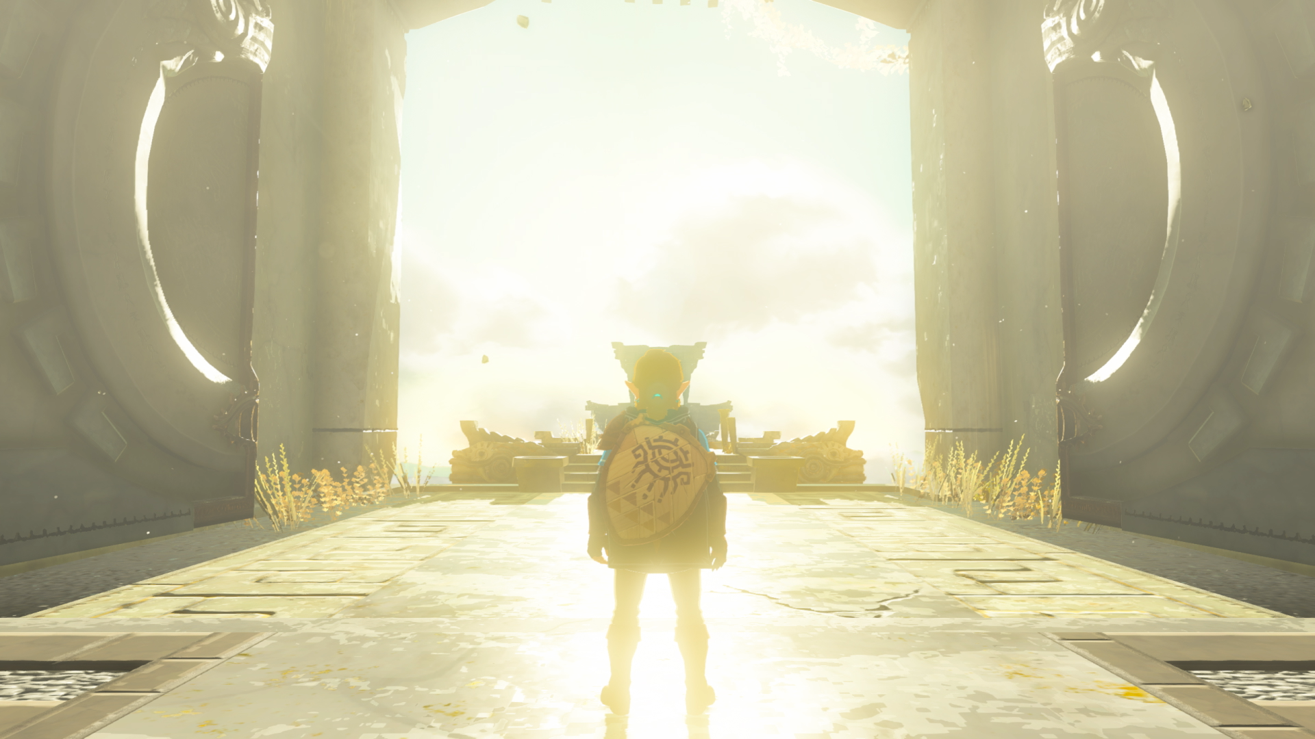 Link walking into the light in Zelda: Tears of the Kingdom.