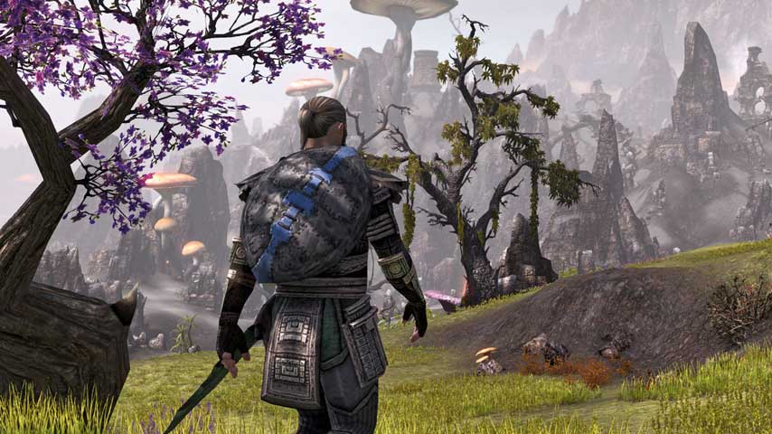 Image for The Elder Scrolls Online veteran content, PvP campaigns detailed