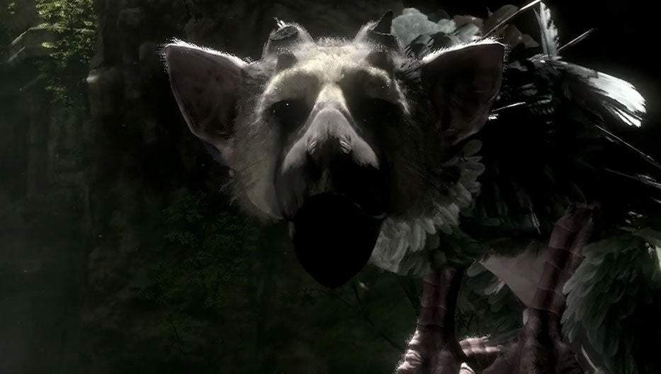 Image for Here's why The Last Guardian wasn't shown during Sony's E3 2014 conference