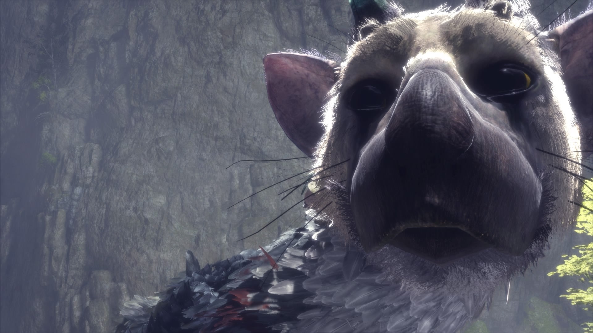 Image for The Last Guardian reviews round-up – all the scores