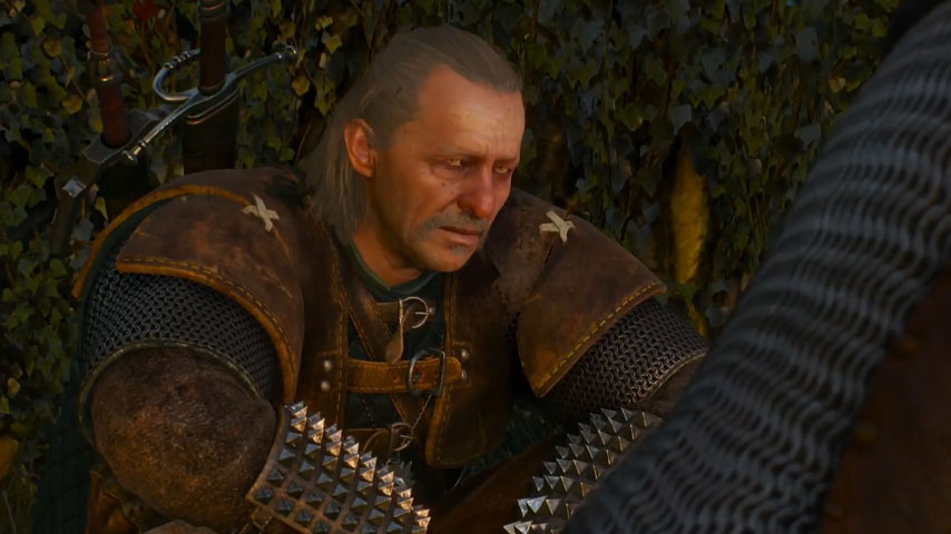 blood on the battlefield witcher 3
