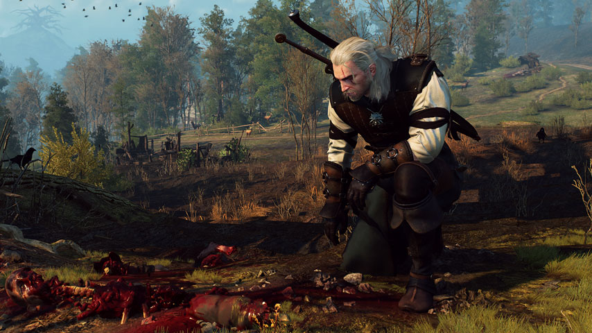 witcher hunting the wild hunt