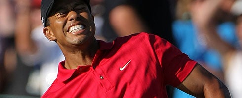 Image for EA: Lack of Tiger Woods 11 Natal support down to "timing"