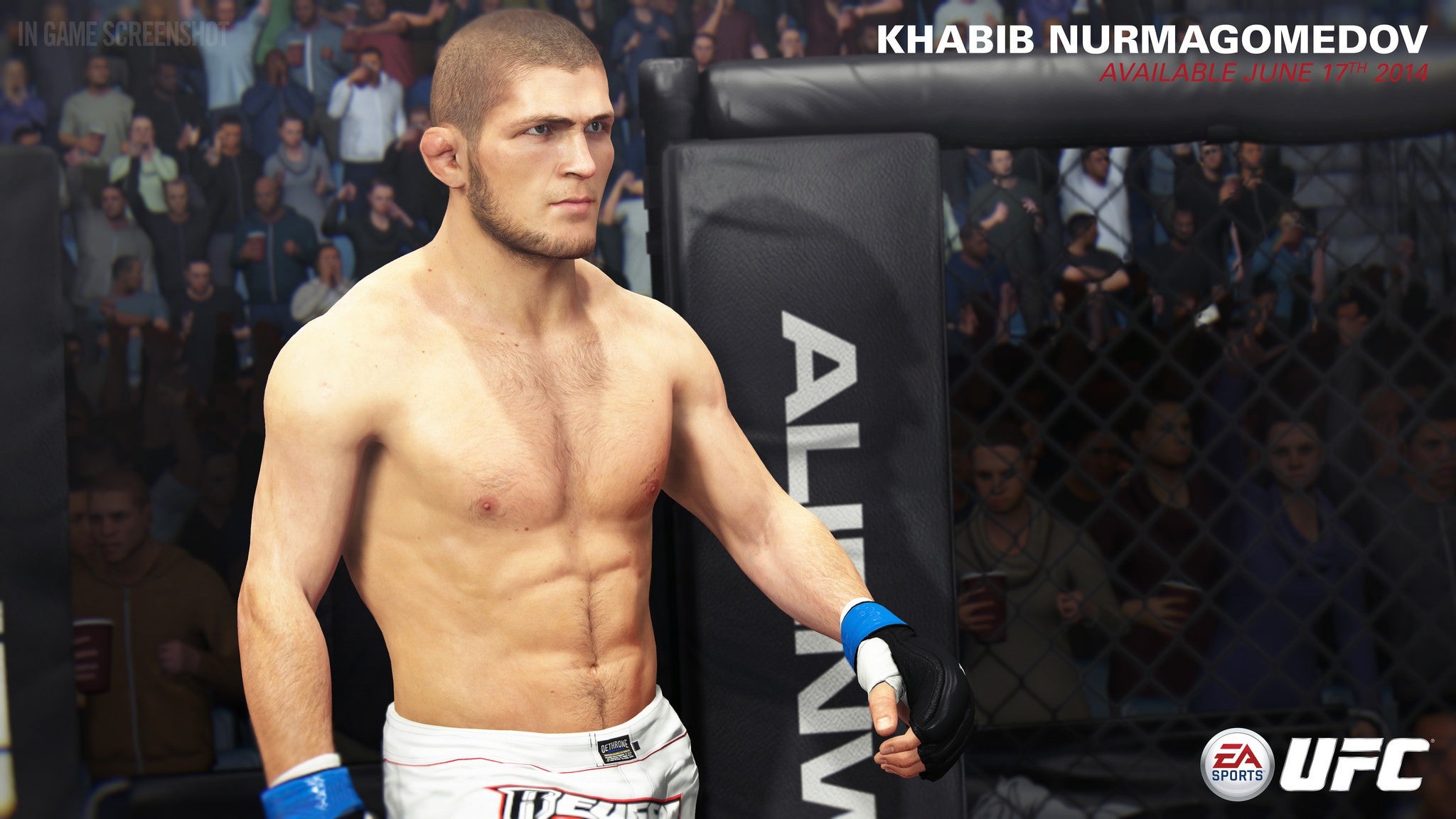 Image for EA apologises to Muslim fighter who has Christian in-game celebration in UFC 2