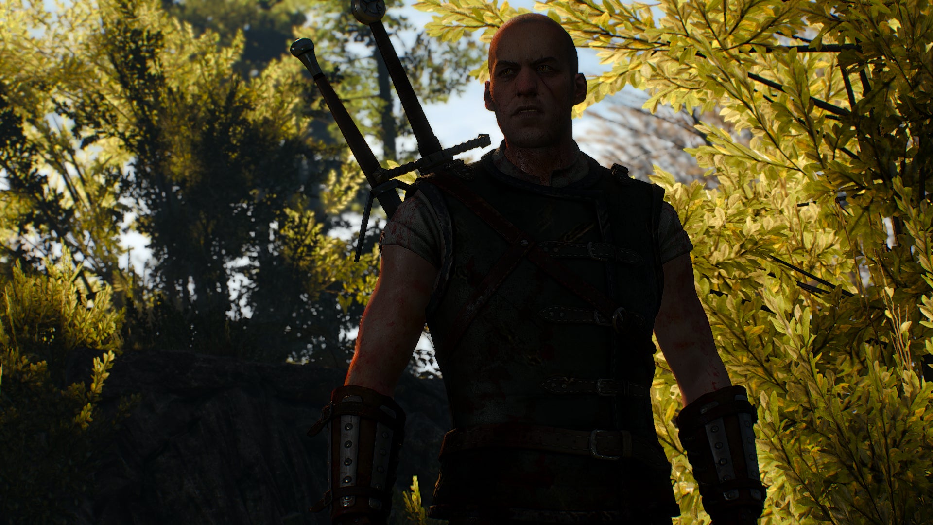 The creator of the School of the Lynx fan fic hopes CD Projekt comes up with  something better  for Witcher 4 - 76
