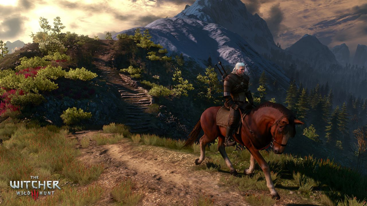 the witcher 3 wild at heart right choice