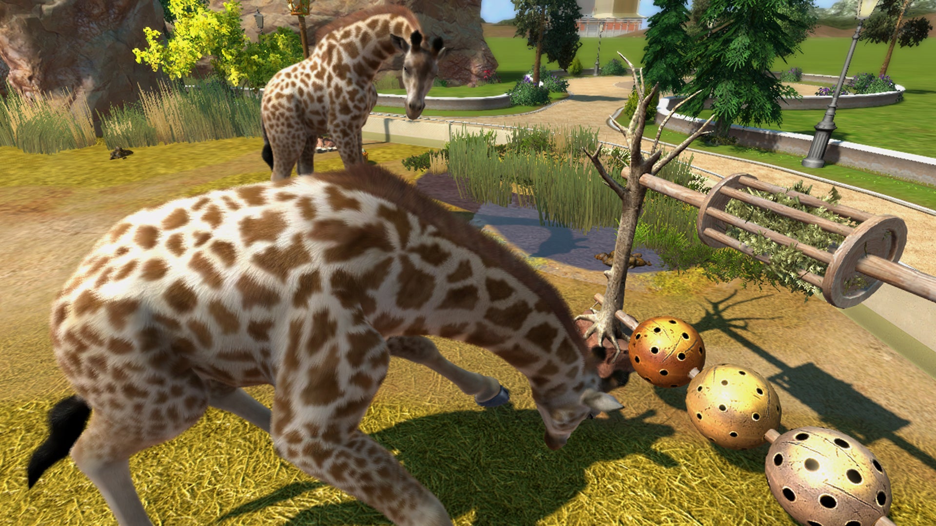 Zoo Tycoon: The Board Game will let you build a zoo on your table next year  | VG247