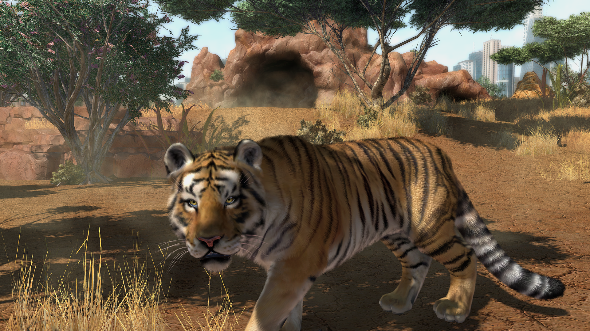 Image for Zoo Tycoon players meet first Community Challenge supporting Sumatran Tiger Survival Program